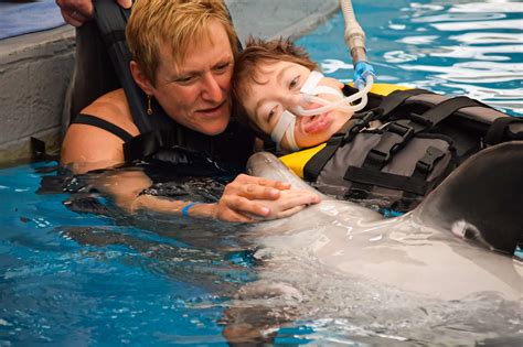 Dolphin-Assisted Therapy: Exploring the Healing Power of Dolphins