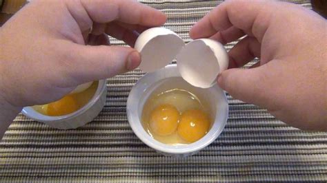 Double Yolk Eggs: A Rare Natural Phenomenon