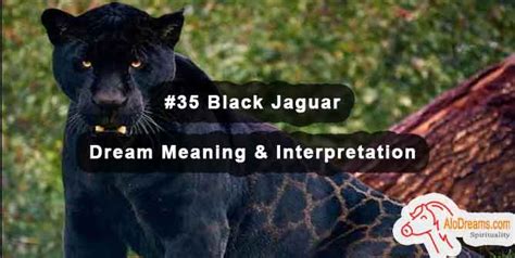 Dream Interpretation: Confronting a Dark Jaguar 