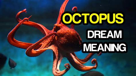 Dream Interpretation: Decoding the Significance of an Octopus in Soaring