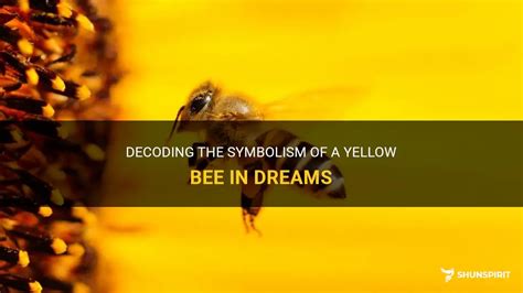 Dream Interpretation: Decoding the Symbolism of Bees in Your Dreams