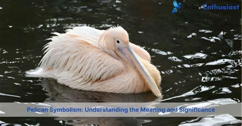 Dream Interpretation: Decoding the Symbolism of Ivory Avians