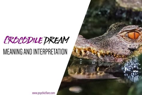 Dream Interpretation: Decrypting the Symbolic Messages of an Enormous Crocodile