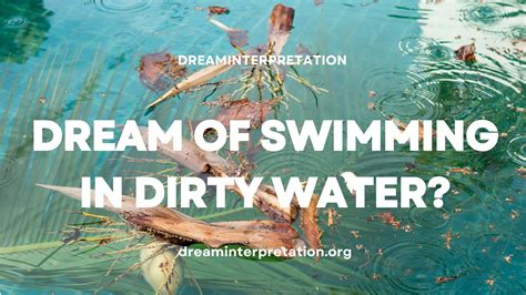 Dream Interpretation: Revealing the Significance of Clearing Filthy Fluids