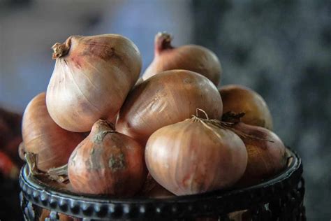 Dream Interpretation: The Symbolic Significance of Gifting Onions in Dreams