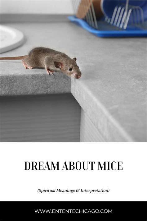 Dream Interpretation: What Do Mice in Your House Symbolize?