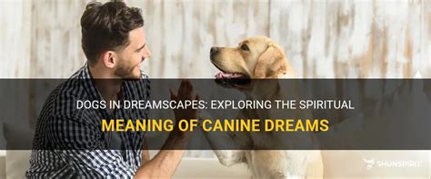 Dream Interpretation 101: Decoding the Symbolism of Canines in Dreamscapes