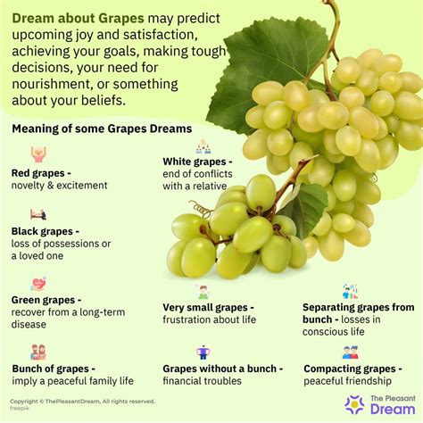 Dream Interpretations: What Do Grapes in Your Dreams Symbolize?