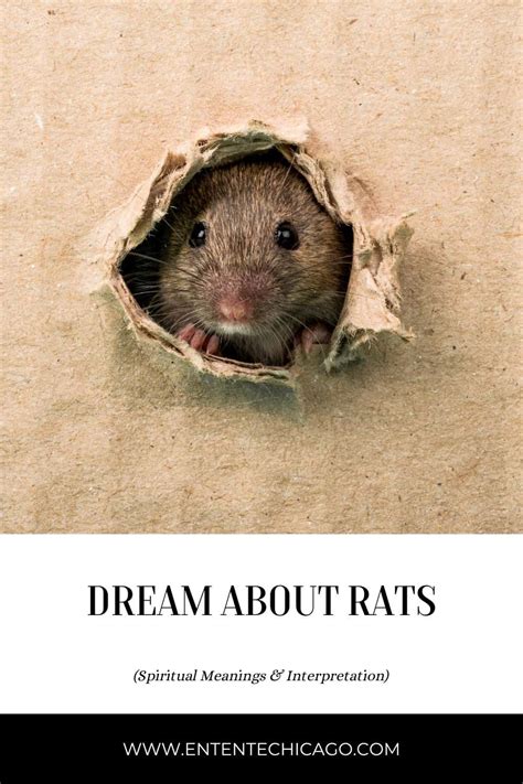 Dreaming About Consuming Rats: An Ubiquitous Visionary Symbol