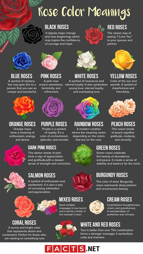 Dreaming in Colors: Decoding the Symbolism of Various Shades of Rose Petals