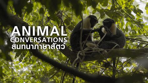 Dreaming of Animal Conversations: Exploring the Intriguing Realm of Animal Communication