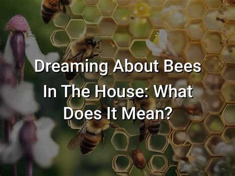 Dreaming of Bees: What Does it Mean?