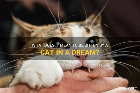 Dreaming of Being Bitten: What Does it Symbolize?