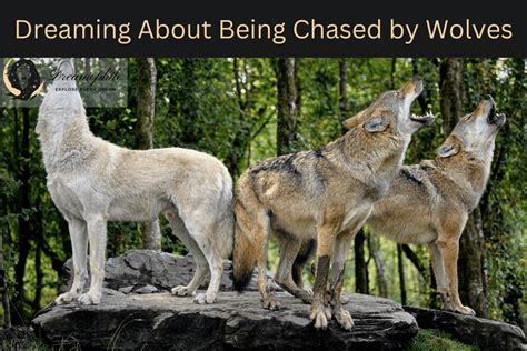 Dreaming of Being Chased by a Wolf: A Vivid Symbolic Experience