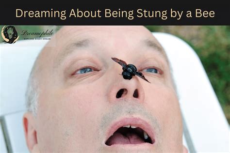 Dreaming of Being Stung by Bees: Uncovering Hidden Meanings