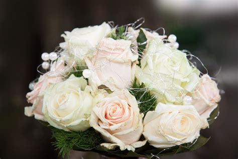 Dreaming of Catching the Wedding Bouquet: A Symbol of Luck and Love