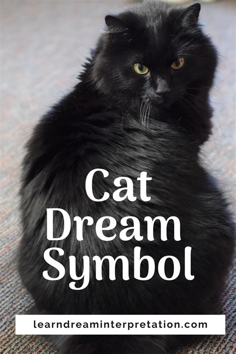 Dreaming of Cats: Decoding the Symbolism and Discovering the Meanings