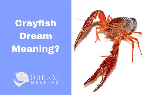 Dreaming of Crayfish: A Gastronomic Adventure