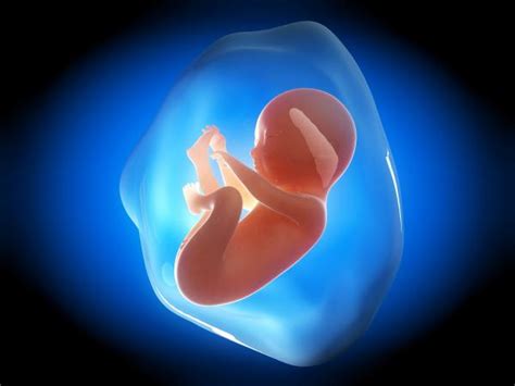 Dreaming of Experiencing Life: The Intrigue Surrounding Sensations of Fetal Movement