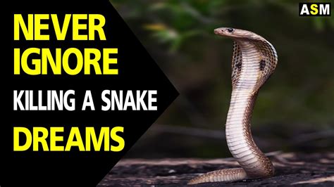 Dreaming of Killing a Serpent: What Does it Signify?