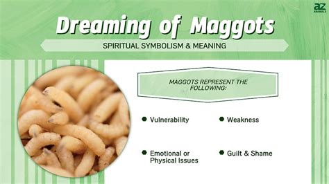 Dreaming of Maggots: What Does It Signify?