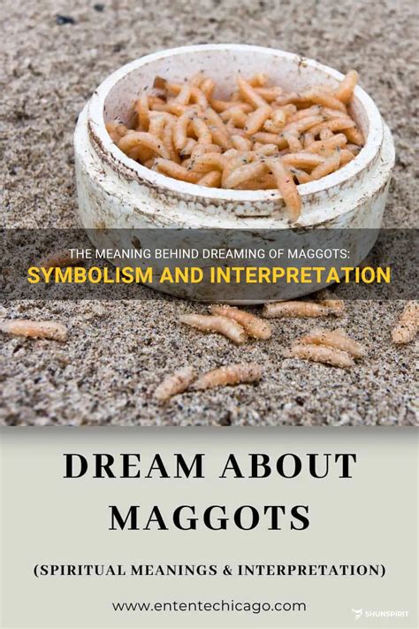 Dreaming of Maggots Crawling: What Does it Mean?