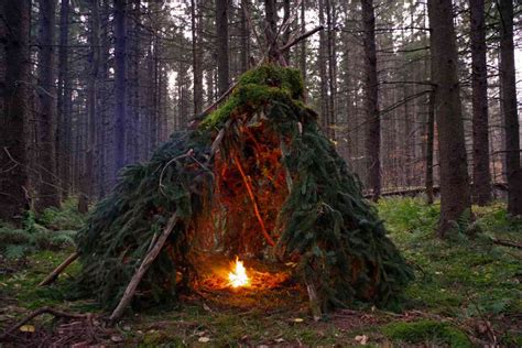 Dreaming of Pitching Your Perfect Shelter: Essential Insights for Nature Lovers