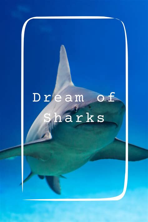 Dreaming of Sharks: Meaning and Interpretation