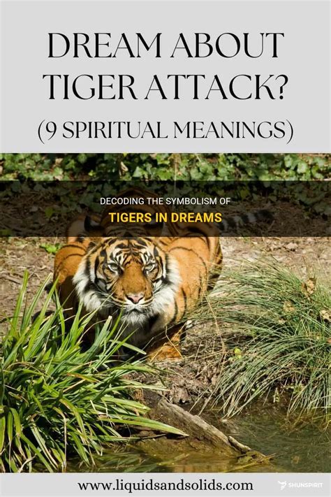 Dreaming of Tigers: Exploring Symbolic Interpretations