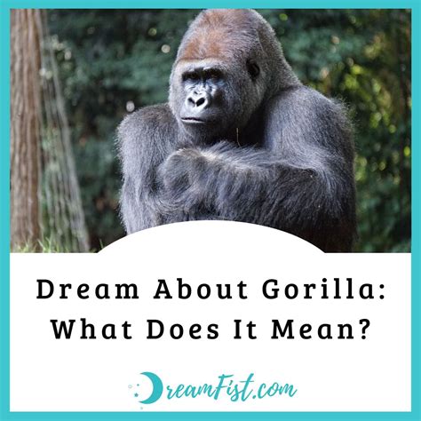 Dreaming of Witnessing a Gorilla: What Does It Signify?