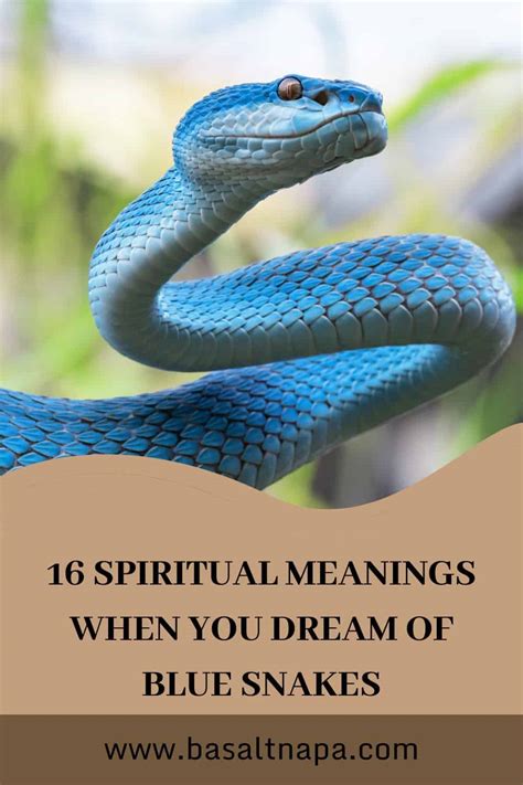 Dreaming of a Blue Snake: Interpretation and Significance