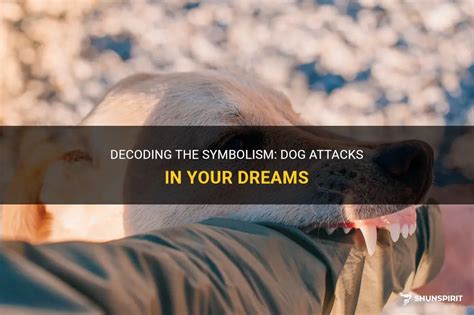 Dreaming of a Canine Attack: Decoding the Interpretation and Significance