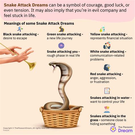 Dreaming of a Cobra Attack: Meanings and Interpretations