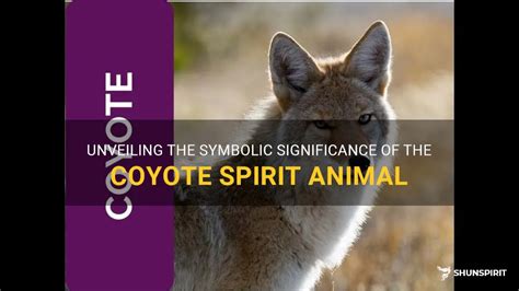 Dreaming of a Coyote Pack: Unveiling the Symbolic Meaning