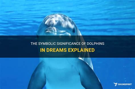 Dreaming of a Departed Dolphin: The Symbolic Significance and Analysis