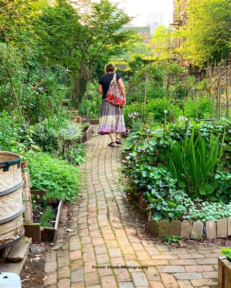 Dreaming of a Green Sanctuary: The Allure of Fresh Soil