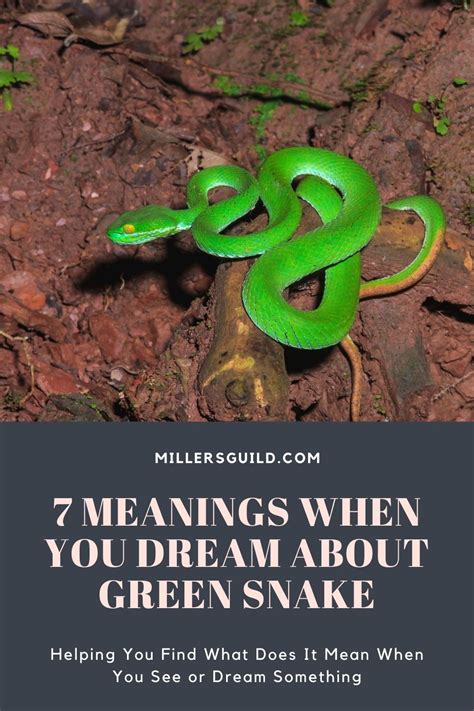 Dreaming of a Green Snake: What Does it Mean?