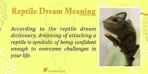 Dreaming of a Reptile on the Ceiling - A Symbol of Transformation and Adjustment