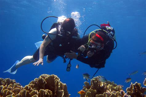 Dreaming of a Scuba Diving Adventure with the Perfect Dive Buddy