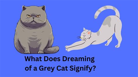 Dreaming of a Three Legged Cat: What Does it Signify?