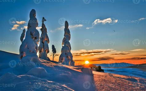 Dreaming of the Silent Symphony: The Enchanting Beauty of Winter Landscapes