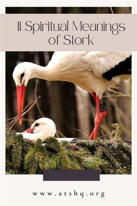 Dreams and Symbolism: Deciphering the Significance of Storks
