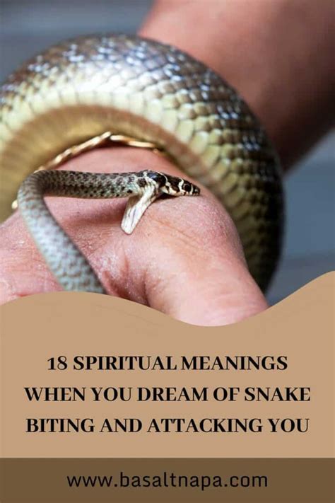 Dreams as Reflections of the Self: The Symbolism of Snake Biting Others and its Connection to Self-Perception