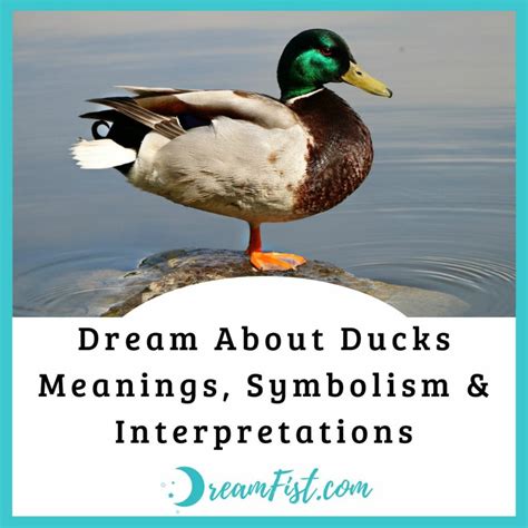 Ducks in Dreams: Deciphering Symbolic Interpretations