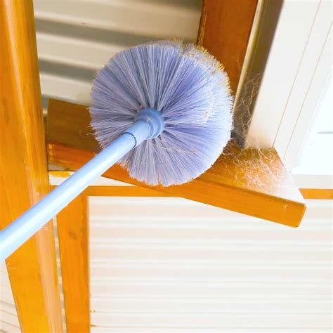 Dust Busters: Effective Strategies for Cobweb Removal