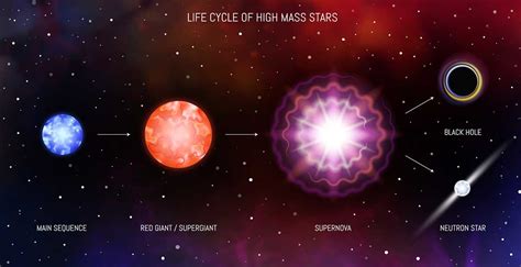 Early Life: Explore Supernova Bio's Childhood