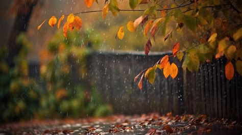 Early Life and Background of Autumn Rain