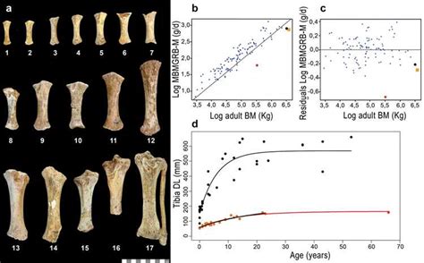 Early Life and Background of Cat Roe