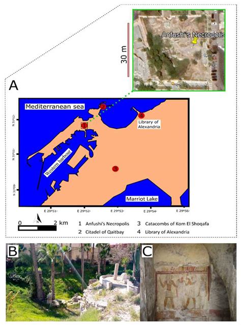 Early Life and Educational Background of Sofia Alexandria