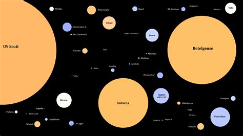 Early Life and Educational Background of the Well-known Star